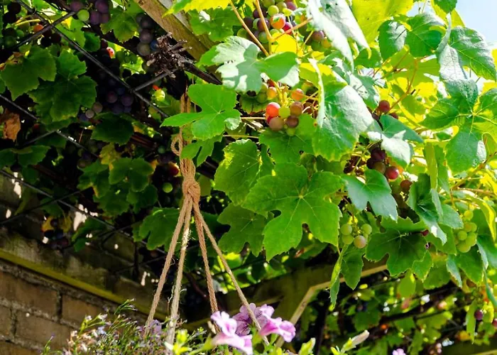 ベッド・アンド・ブレックファスト De Ranck